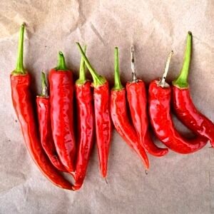 Organic Chilli Pepper 'Ring of Fire'