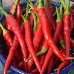 Organic Chilli Pepper 'Cayenne'
