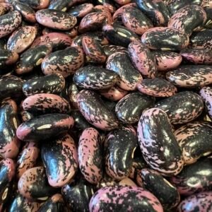 Harvested and dried runner beans that are pink and dark purple in colour