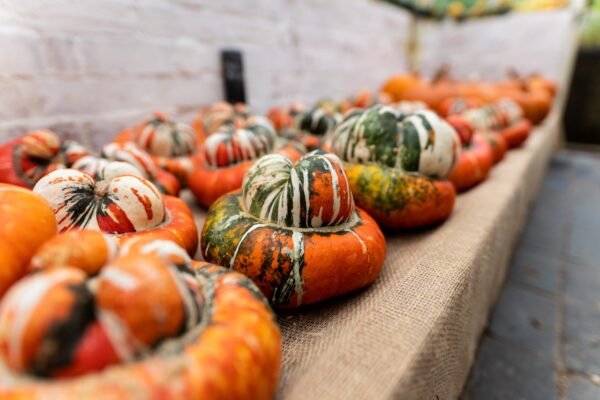 A row of turks turban squash displayed on a hessian bench. The squash are uniquely shaped with bold colour changes. Predominantly orange in colour but with green and white pops of colour
