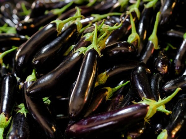 Organic Aubergine 'Long Purple'